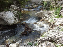 Identikit di un fiume